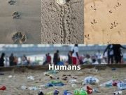 Photo Et la nature dans tout cela ? Si on parlait un peu d’écologie